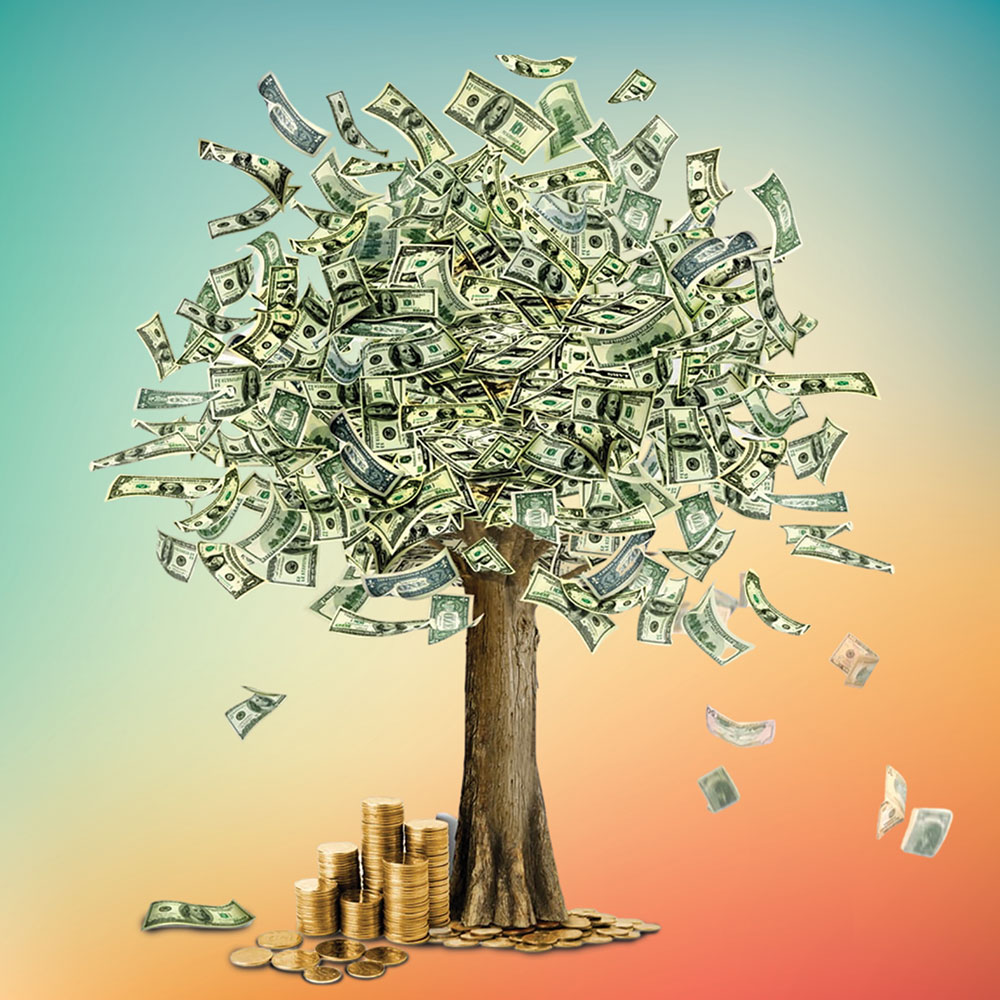 Money Tree-CP101.jpg